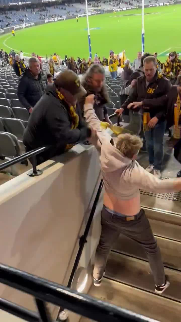 Police are investigating after a fight broke out between fans after the Collingwood Magpies vs Hawthorn Hawks game at the MCG