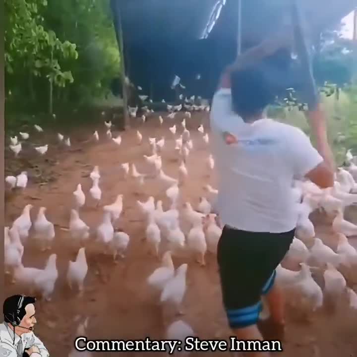Animals vs. Humans