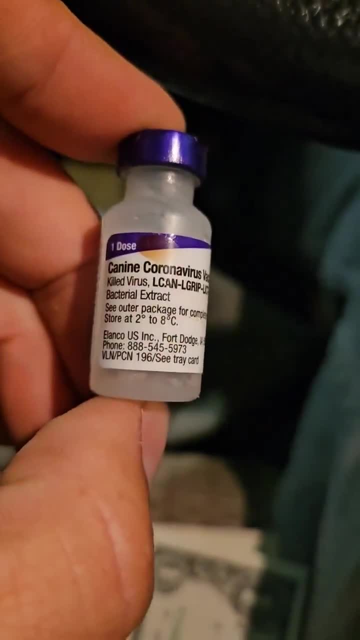 How many Covid Boosters has your Dog taken?