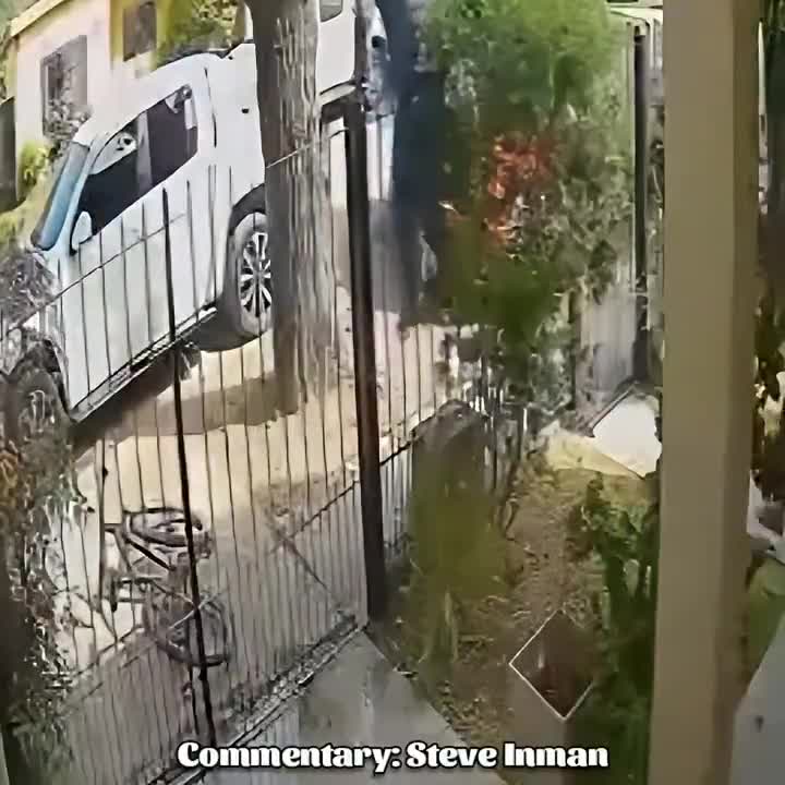 Bike thief gets caught and disciplined.