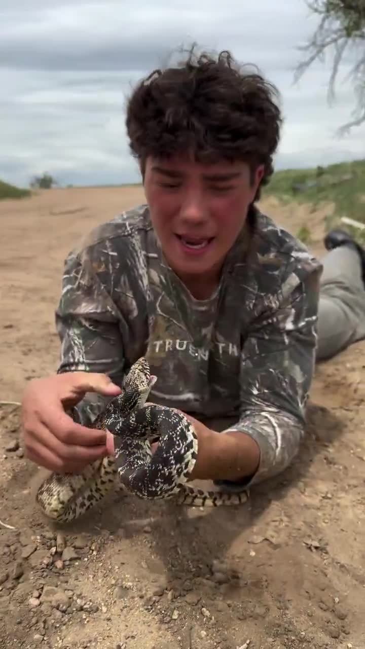Close enough, welcome back Steve Irwin 😂