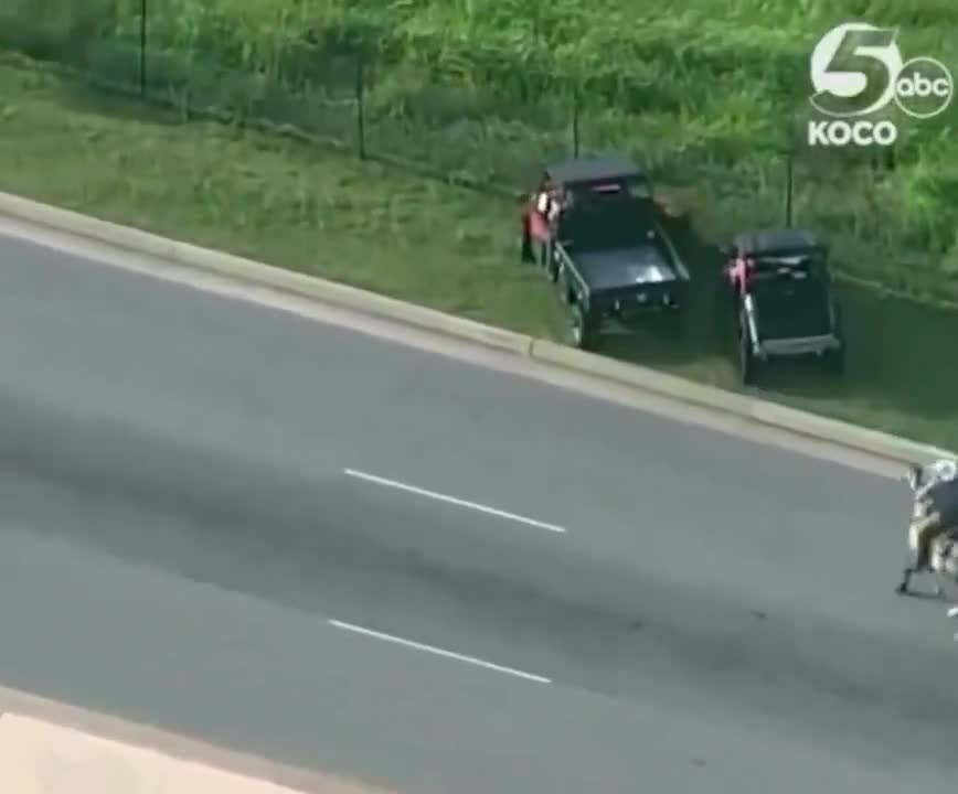 A cow got loose on the highway, so they brought in an actual cowboy to take care of it