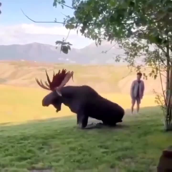 🤦‍♂️😆
