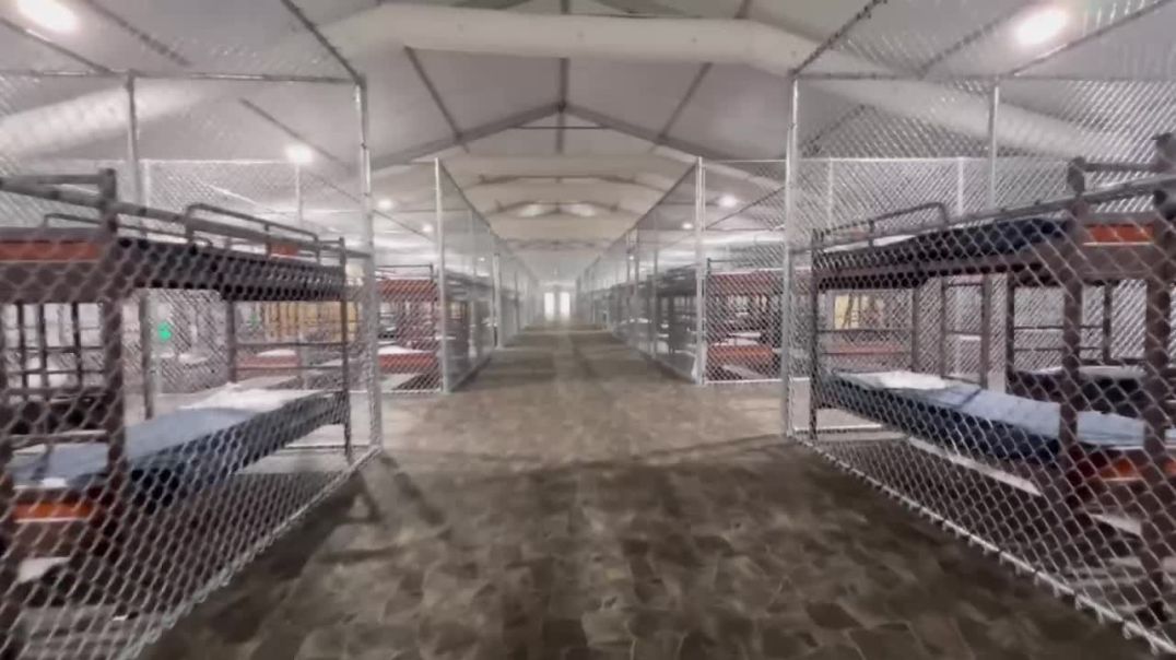 First look inside of Alligator Alcatraz…   Which politicians belong in there?