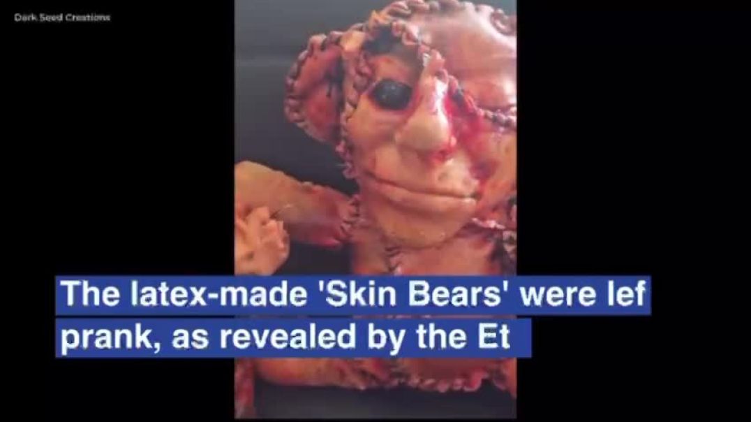 The man behind skin-like bear is South Carolina-based artist Robert Kelly of DarkSeed Creations who had shipped the bear to a client in Victorville, California last week
