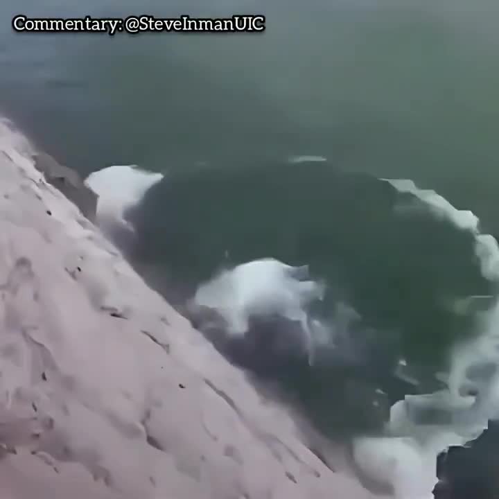 Hope the fish are ok.