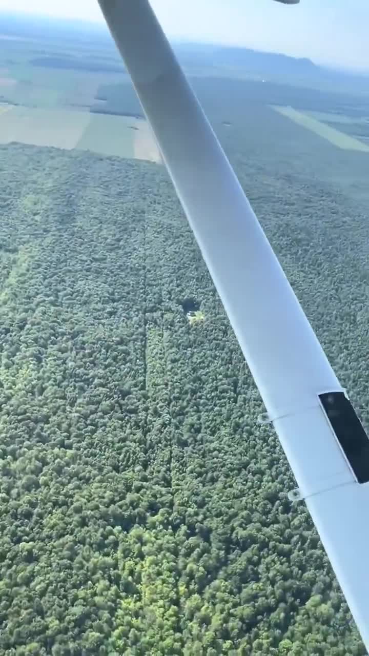 Bro is living the dream 🤯