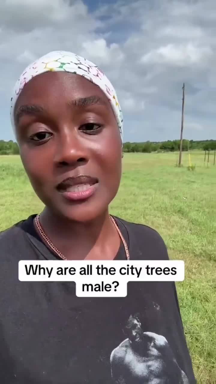 “Too many people were eating for free & that’s why they only plant Male Trees”