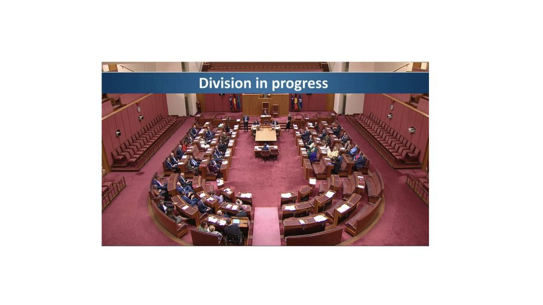Greens Senator Shoebridge says that while they will support the urgency motion, laws to protect users from social media and the internet are not made by “some mysterious international cabal that wants