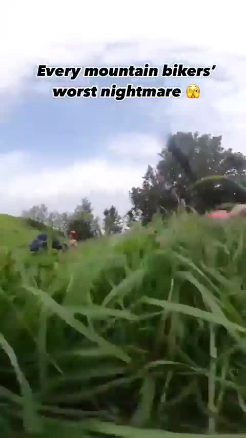 what did they even hit