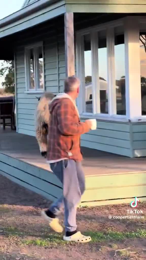 If you're having a bad day, watch this