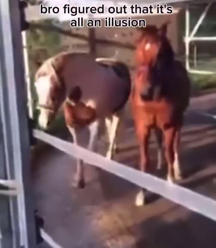 Everything is fake once you wake up