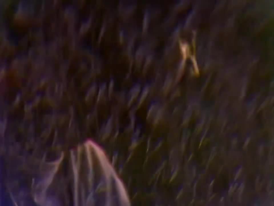 🚨 NEW SINGLE 'END OF SUMMER' BY TAME IMPALA FINALLY DROPS 🚨