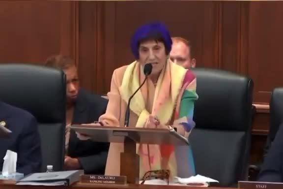 Average Democrat Congresswoman: