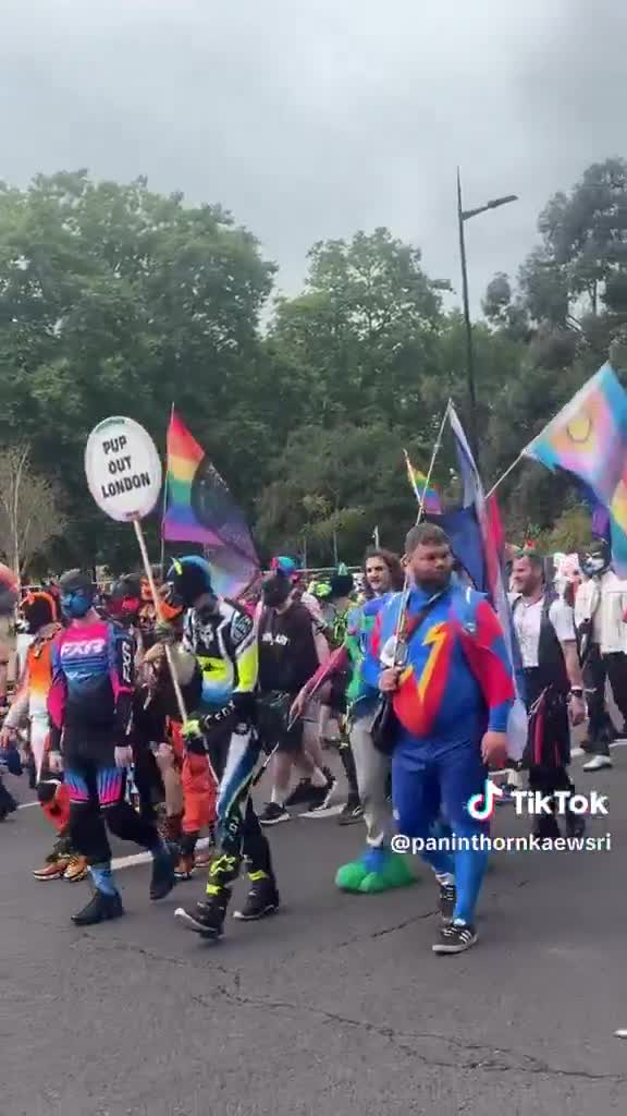 🇬🇧 Meanwhile in ‘Pup Out’ London  When did this bizarre trend even start and how?