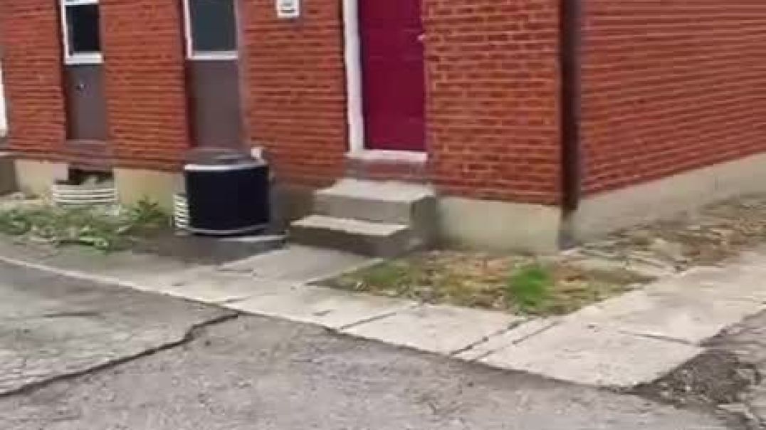 Apartment complex filled with illegal aliens WIPED OUT… nobody is there 🤣