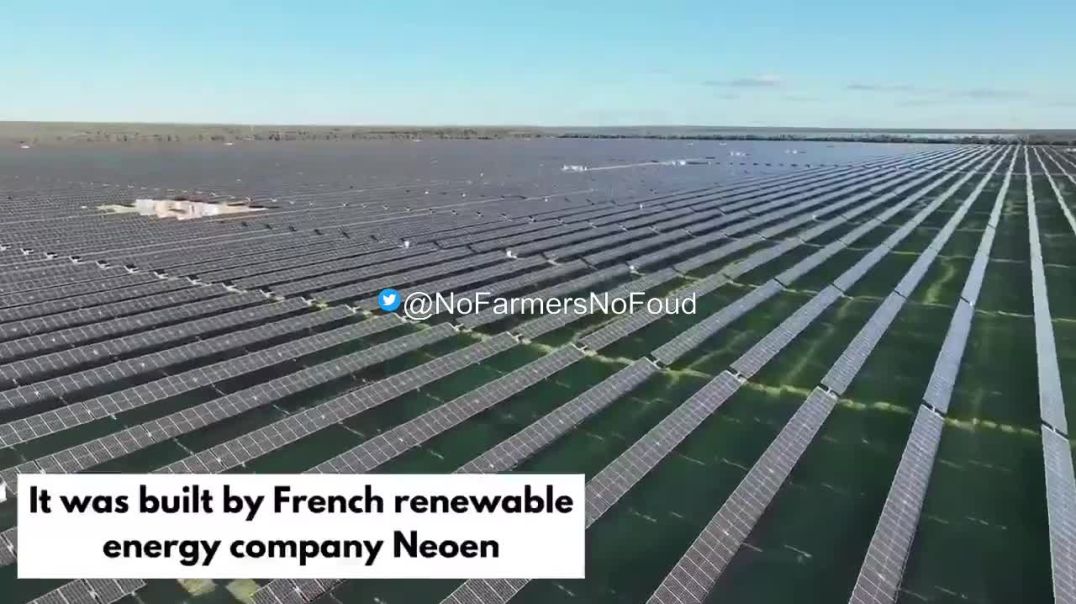 Nearly 4,000 acres of prime Australian farmland are now buried beneath a sea of more than a million solar panels.
