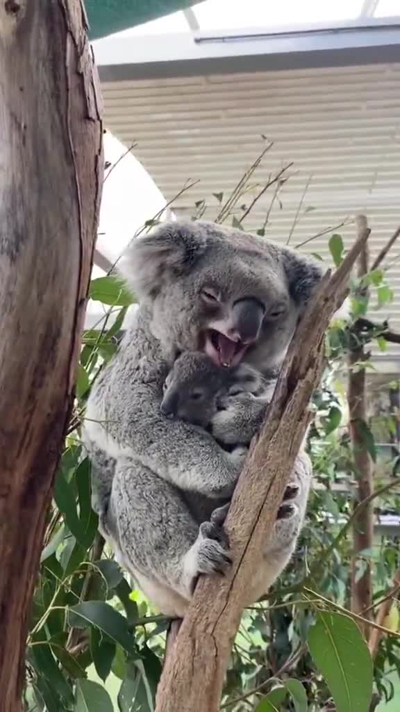 I just know that’s the comfiest place in the world 🥺