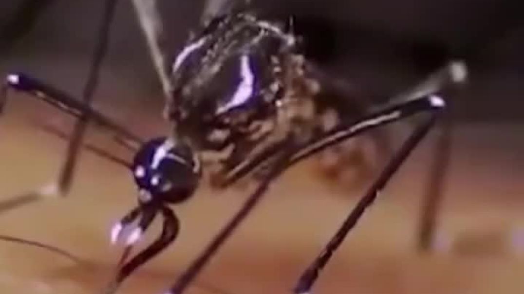 🚨 NEW VIRUS OUTBREAK IN CHINA. OVER 7,000 INFECTED