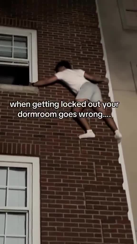 Bro never played assassin’s creed