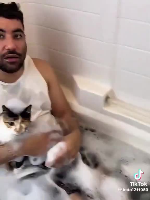 The best Cat Video ever made & it’s not even close.