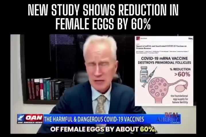 URGENT: Global fertility rates have plummeted since 2021. A new Danish study finds a nearly 60% drop in egg count among vaxxed women aged 18–39. If you took the COVID vax there is cause fo...