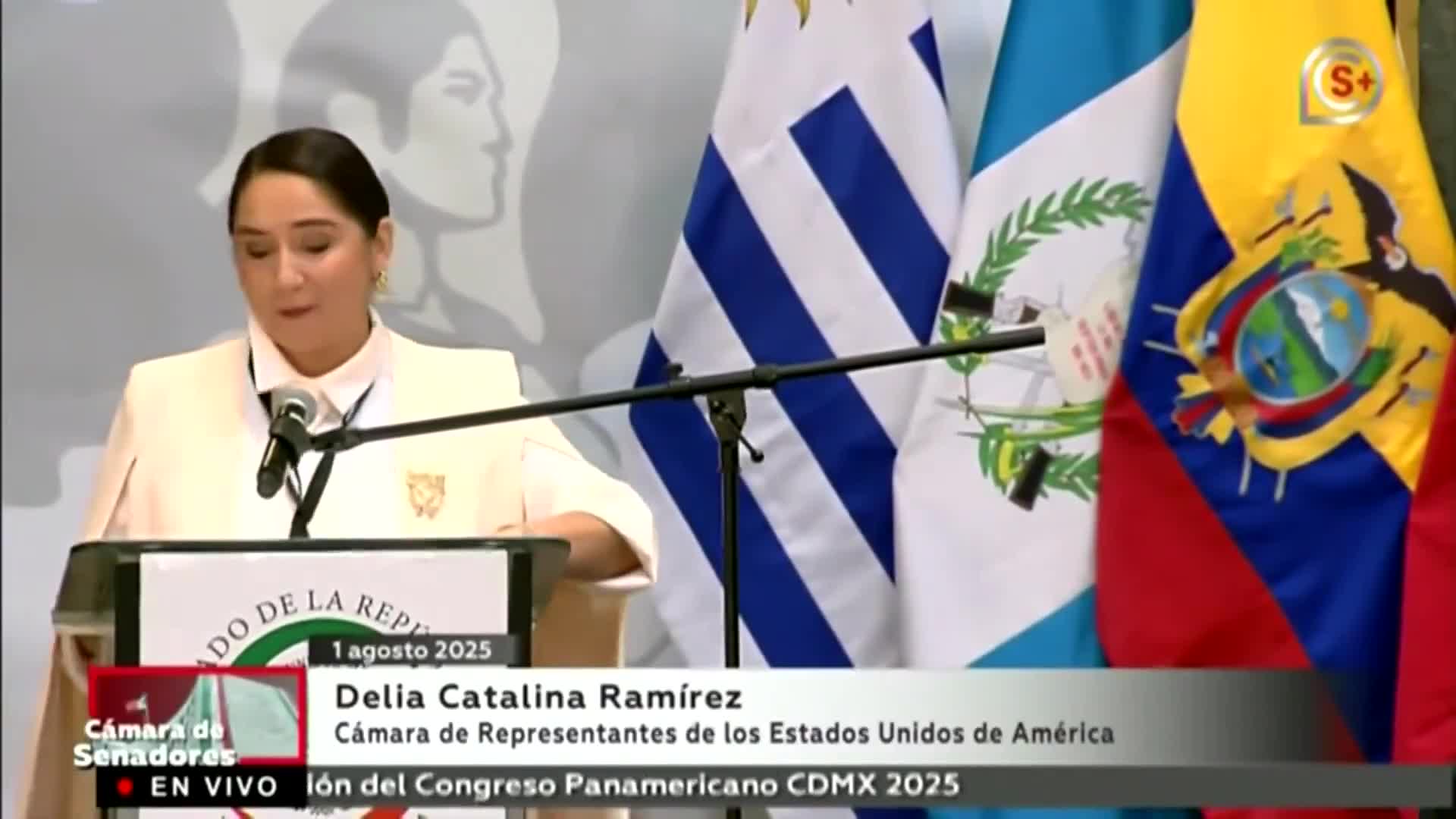 Rep. Ramirez (D-IL) says in Spanish: 