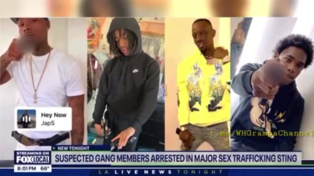 A massive child s*x trafficking bust in Los Angeles led to the arrest of multiple members of the Hoover Criminal Gang ... accused of pimping girls as young as 14 .... beating .. starving .. r*ping .. 