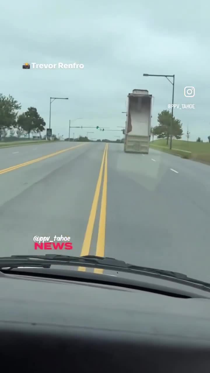 This is wild