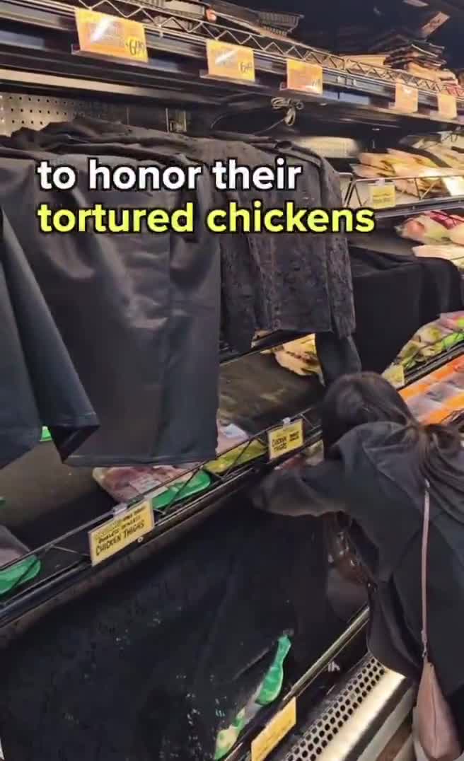 Vegans hold a funeral at Trader Joe's for the chickens in the fridge