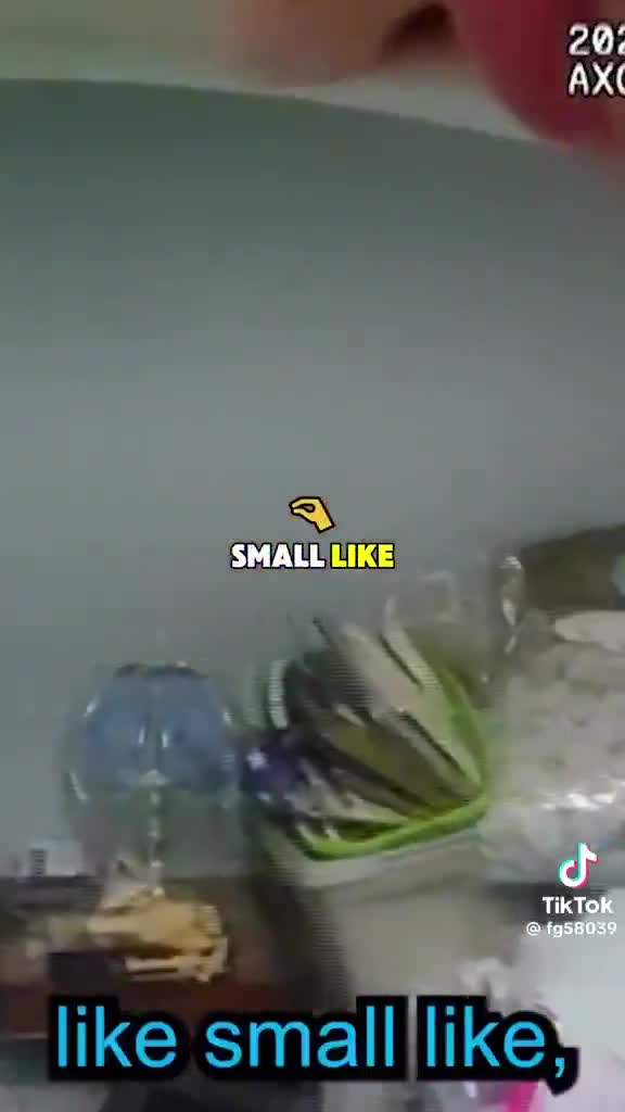 (Part 3/3)