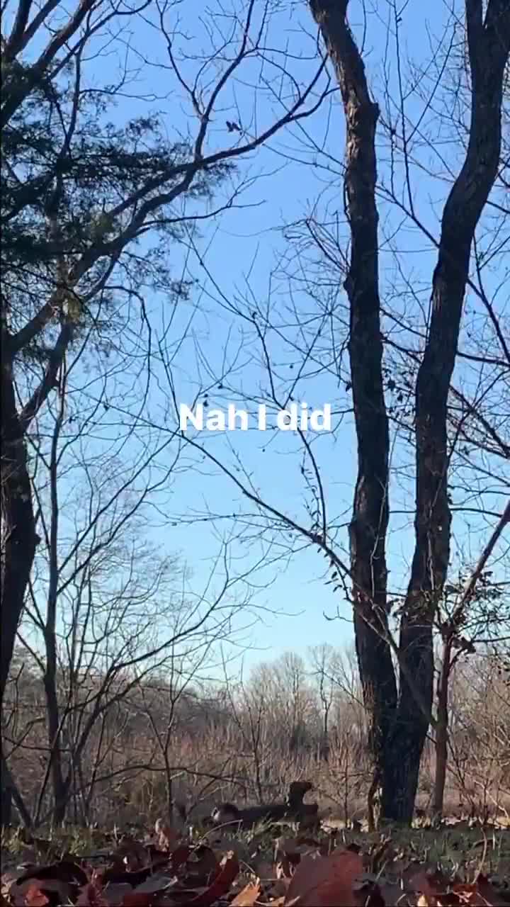 The holy grail of sticks