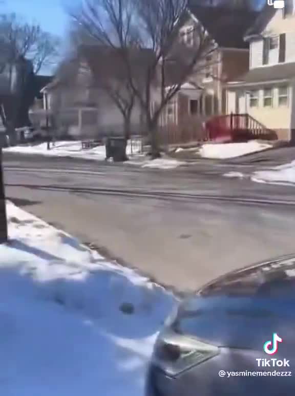 Cameraman deserves an award