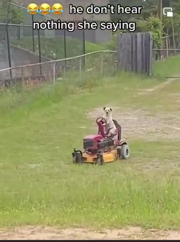 just when i thought i’ve seen it all