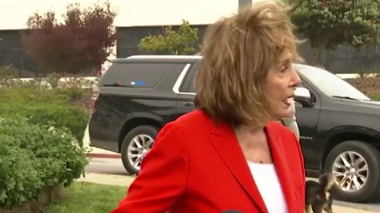 Democrat Speaker Emerita Nancy Pelosi: “We are hoping that we can have gender-affirming care for our trans kids”