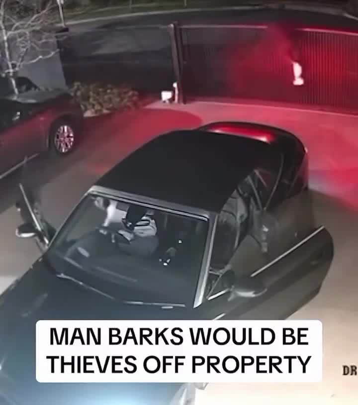 bro actually has that dog in him