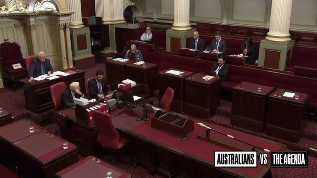 A motion by Libertarian MLC David Limbrick to force the Victorian Government to hand over documents and receipts for the machete bin program has passed Parliament unopposed.