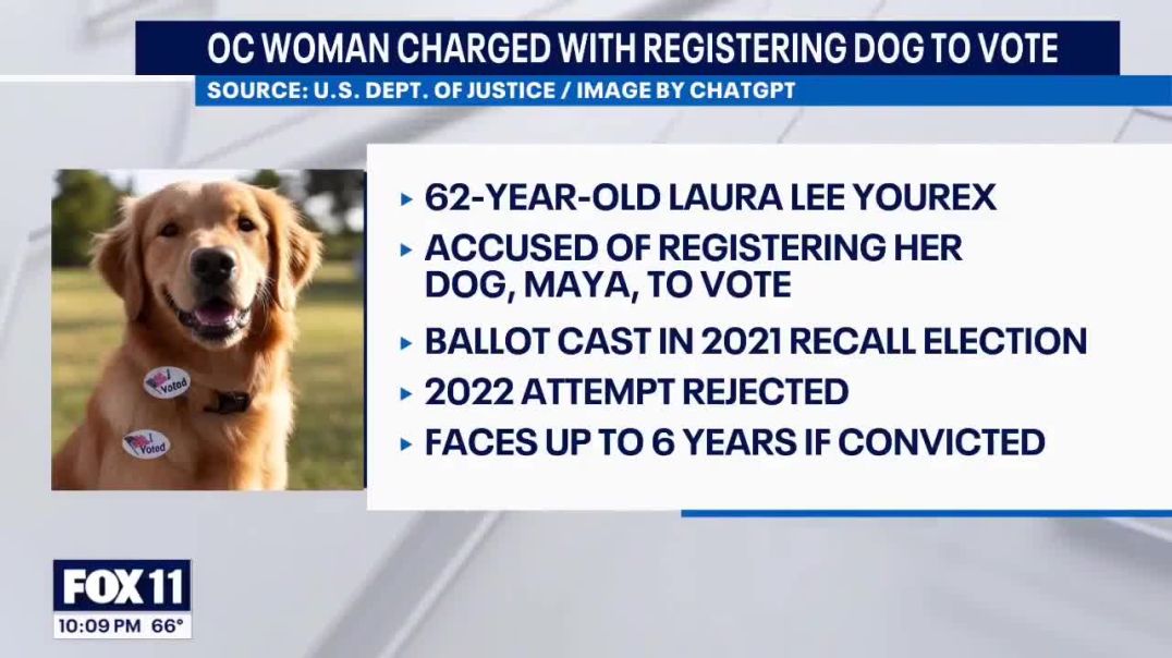 Woman in California registered her dog to vote then illegally voted with the dog using mail-in voting.  She now faces years in prison.  Ban mail-in voting.