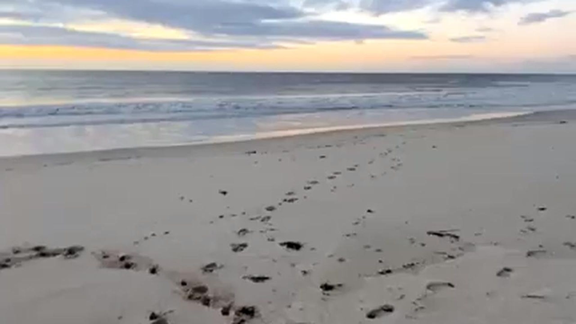 Rod Culleton at Peppermint Grove Beach on Spotlight programme and Australian Defence