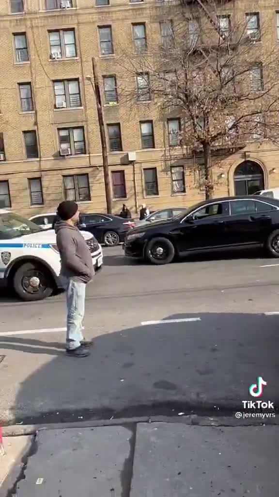 new york city is wild