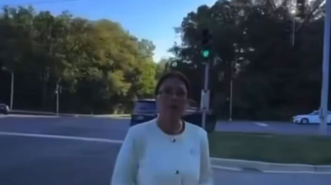 Illinois Democrat Senator Karina Villa is running around chasing ICE agents, screaming bloody murder telling people to stay in their homes and lock their doors