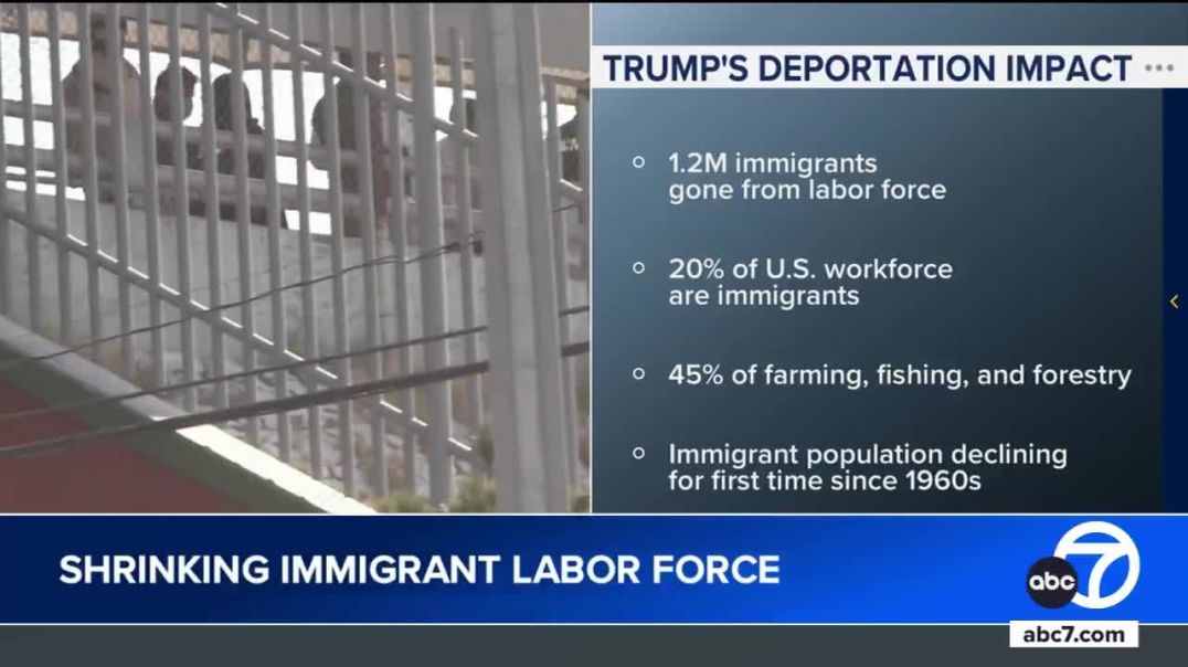 Trump’s Immigration Policies Remove 1.2 Million Illegals From U.S. Workforce