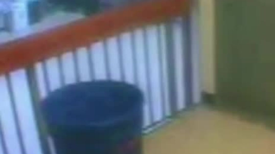 Epstein jail cell clip they didn’t release first time