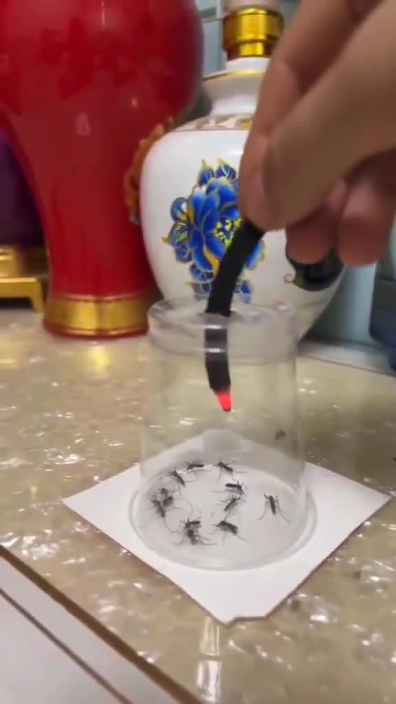 most satisfying video ever