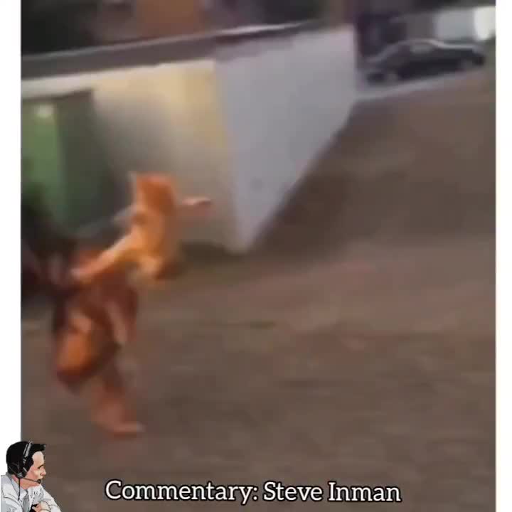 Potato Cam Classic