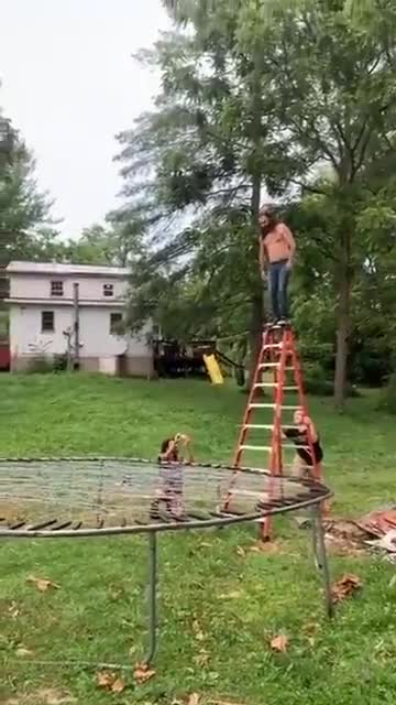 What was the purpose here?