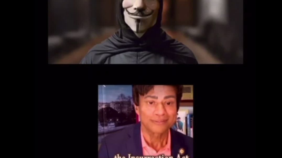 Anonymous: THE INSURRECTION ACT: THE LAW THEY DON’T WANT YOU TO UNDERSTAND