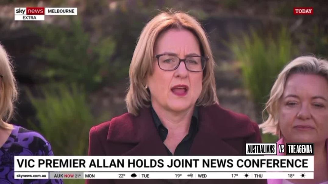 Victorian Premier Jacinta Allan has responded to questions regarding the machete fight at Broadmeadows Shopping Centre by insisting the machete ban is working.