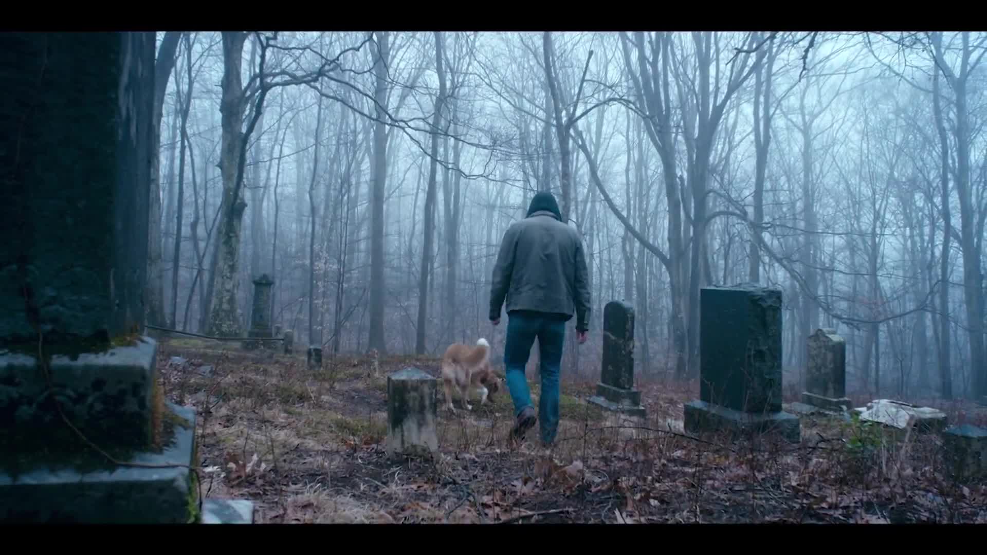 Watch this new clip from ‘Good Boy’   In theaters today