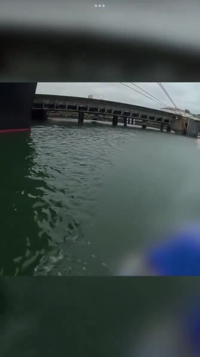 Rising Tide, a climate action group, has entered the Port of Newcastle and painted ‘TAX ME’ in chalk on a parked coal ship  The group is calling on the federal government to introduce a ...